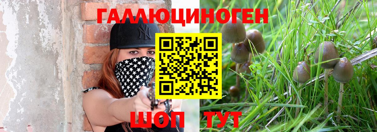 Псилоцибиновые грибы MAGIC MUSHROOMS Лосино-Петровский
